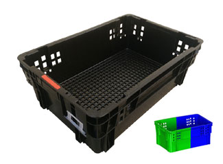 321号双色草莓视频网站筐